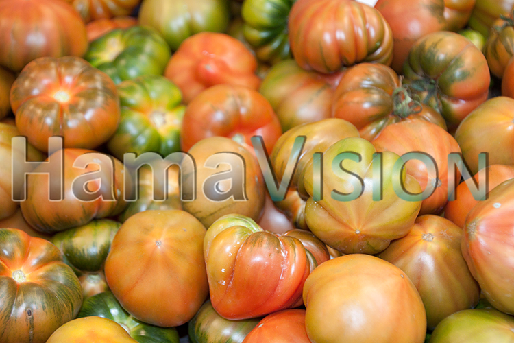 Frische Tomaten - Fresh Tomatoes