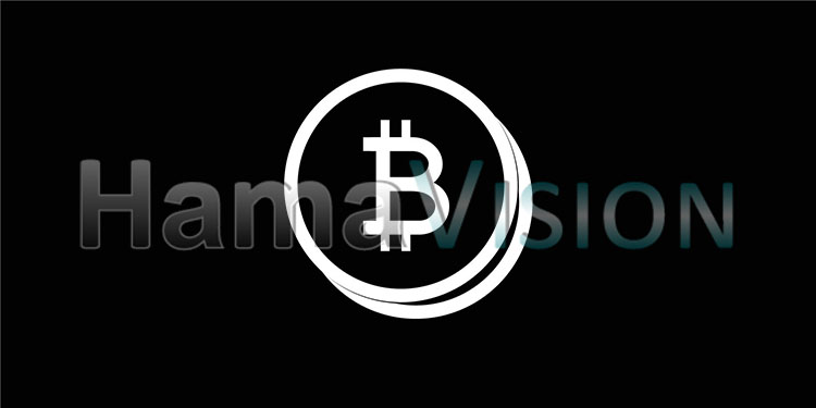 Bitcoin Icon - Money Symbol - Black and White
