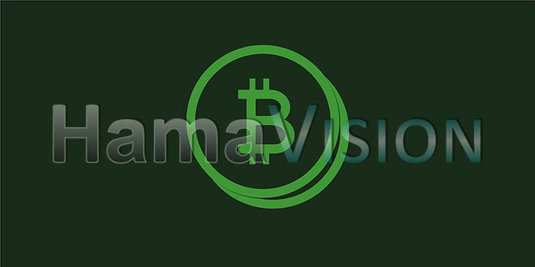Bitcoin Icon - Money Symbol - Green